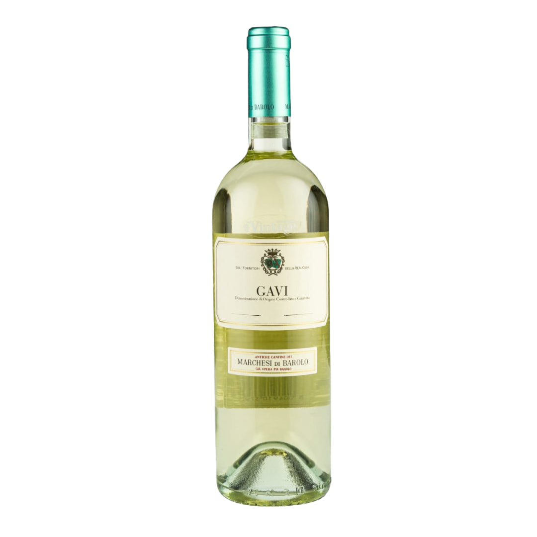 GAVI SELEZIONI 2021 GoBooz